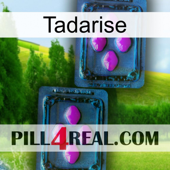 Tadarise 03.jpg